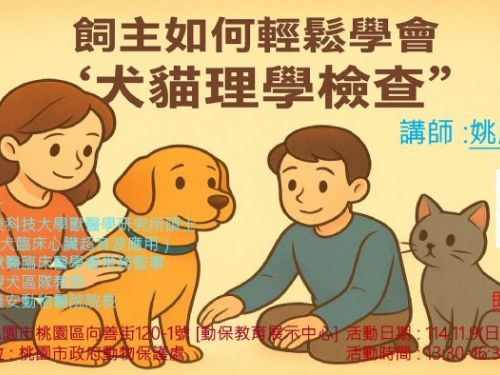 毛孩學堂11月開課！桃園南昌園區邀您一起探索動物福利新知，打造人寵共好的幸福生活